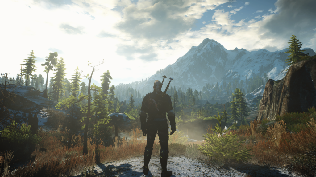 Geralt of Rivia stands overlooking a forest and mountain landscape in The Witcher 3 Wild Hunt.